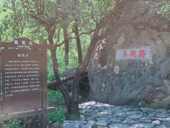 -阳台山自然风景区