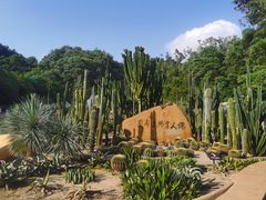 -深圳仙湖植物园