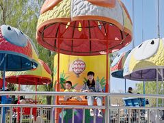 -朝阳公园游乐园