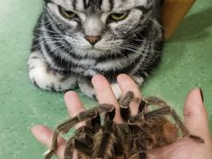 -藦茜花园宠物主题亲子互动体验馆(国顺东路店)