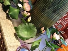 -润泽园椰子鸡(汇一城店)
