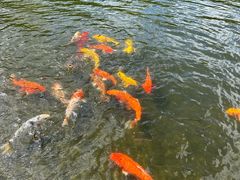 -白马涧龙池景区