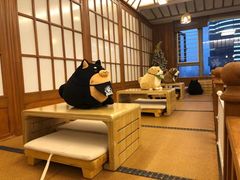 -豆柴町-柴犬主题狗咖(红鼎国际C座店)