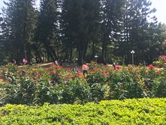 -人民公园(罗湖区)