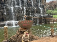 -海南热带野生动植物园