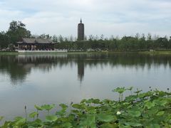 -西海子公园