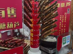 -和禄德冰糖葫芦