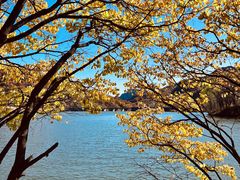 -玉渡山自然风景区