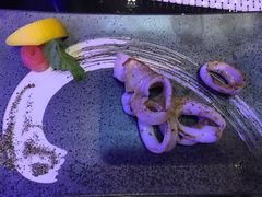 香煎鱿鱼-宝立方酒店-自助餐西餐厅