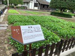 -张闻天故居