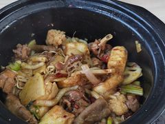 -四川农业大学(雅安校区)