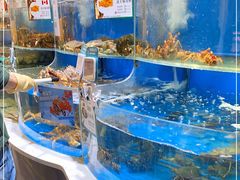水产区-7fresh七鲜(大族广场店)