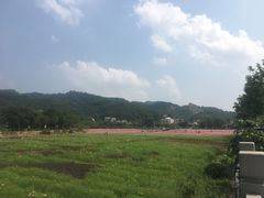 -红山村