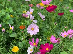 -三亚南山文化旅游区