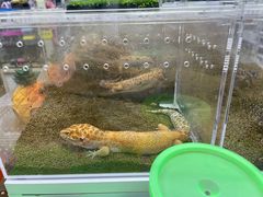 -三旗百汇商品城