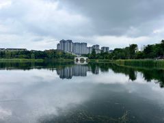 -眉山湿地公园(东坡区)