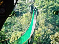 -大围山国家森林公园