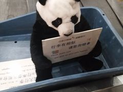 -国庆烧麦馆