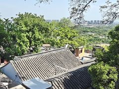 -苏州上方山国家森林公园