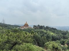 -磬锤峰森林公园