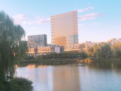 -大兴滨河森林公园