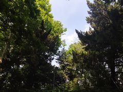 -菊花台公园