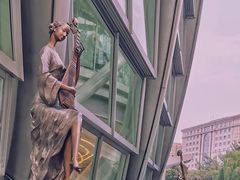 -凤凰中心