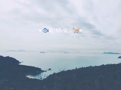 -南丫岛