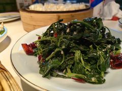 -真定郝家排骨(正定县总店)