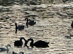 -水上乐园·欢乐世界