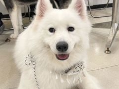-共舞时光猫咖·狗咖(新街口店)