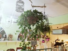 -Jo's Garden