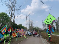 -白鹭湾湿地公园