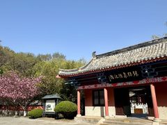 -石岛赤山风景区