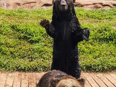 -海南热带野生动植物园