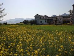 -新安江山水画廊风景区
