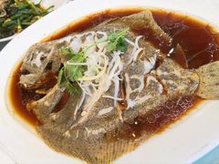 清蒸多宝鱼-双井轩(双井店)