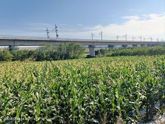 -光明小镇欢乐田园