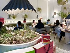 -春树下·树屋花房西餐厅(罍街AS1980店)