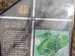 -白水寺森林公园