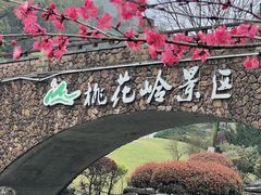 -桃花岭景区