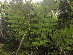 -赤水丹霞旅游区·佛光岩