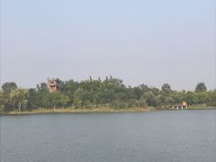 -东郊湿地公园