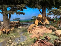 -国家自然博物馆