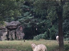-杭州野生动物世界