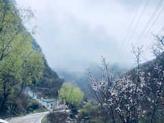 -沣峪口