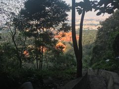 -南国桃园旅游度假区