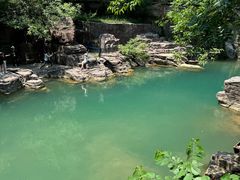 -洛阳白云山景区