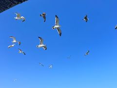 -长岛南北长山旅游景区