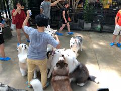 -TrueLove @ Neverland (Husky Cafe)